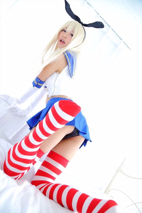 [Digi-Gra] Chrysanthemum chrysanthemum (Chrysanthemum chrysanthemum) Photoset 05