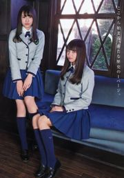 Sakazaka 46 Watanabe Rika Hirate Yurina Hirate Yuri Imaizumi Yui Kobayashi [Young Animal] 2016 No.06 Photo Magazine