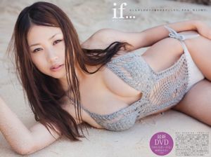 川村ゆきえ 西田麻衣 七海なな [Young Animal Arashi 岚特刊] NO.01 2012年 写真杂志