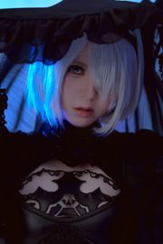 [Beauty Coser] Mitad y mitad "No. 2 Tipo B"